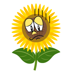 Depressed Sunflower