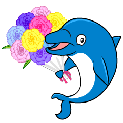 Dolphin with Gift