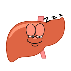 Sleeping Liver
