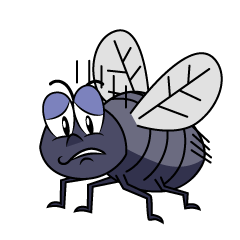 Depressed Fly