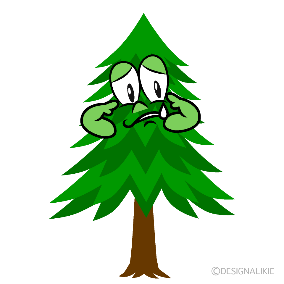 Sad Pine Tree Cartoon Character Image