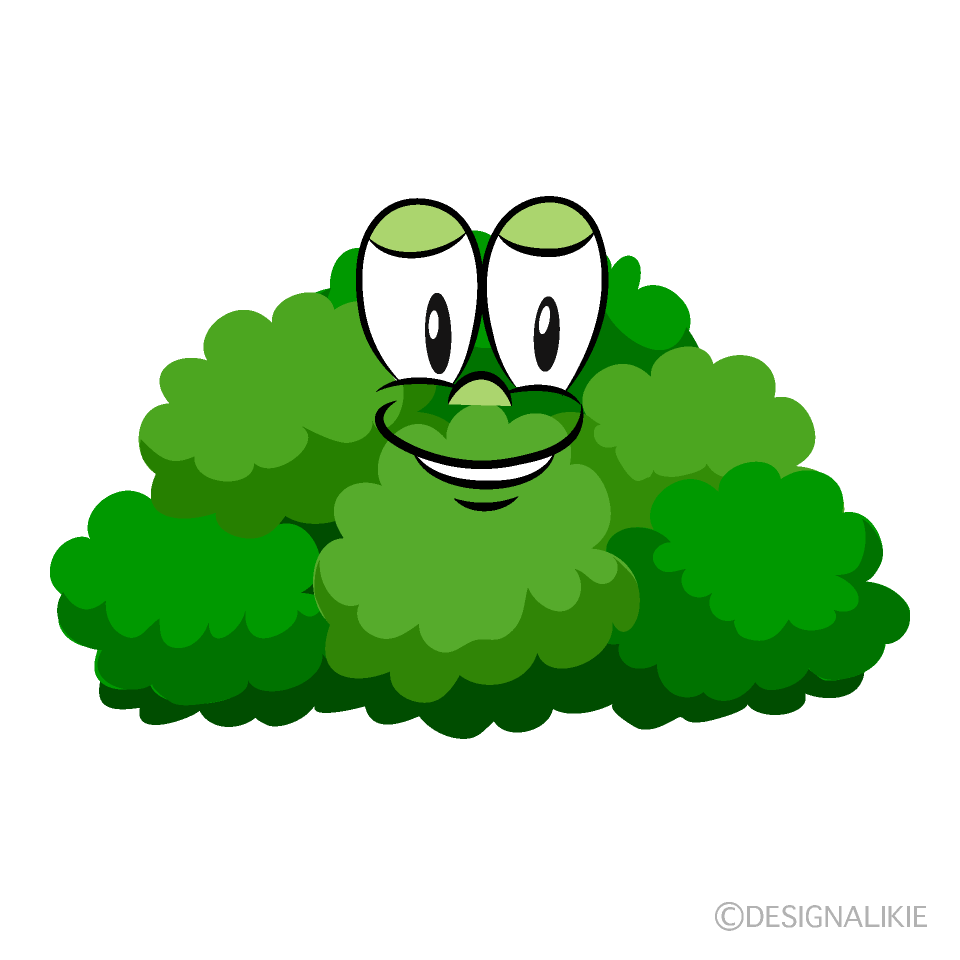 Bush Cartoon Character Image