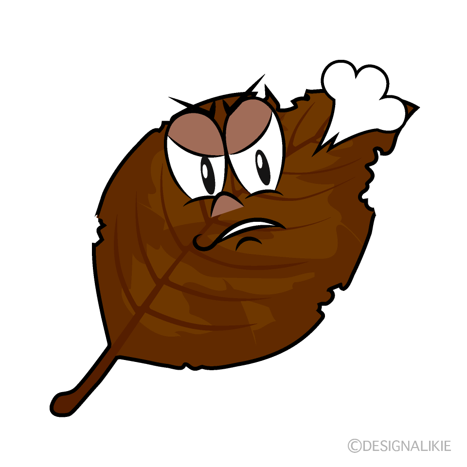 Angry Dead Leaf Cartoon Character Image