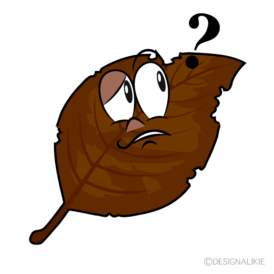 Thinking Dead Leaf Cartoon Character Image