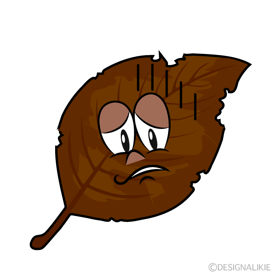 Depressed Dead Leaf Cartoon Character Image