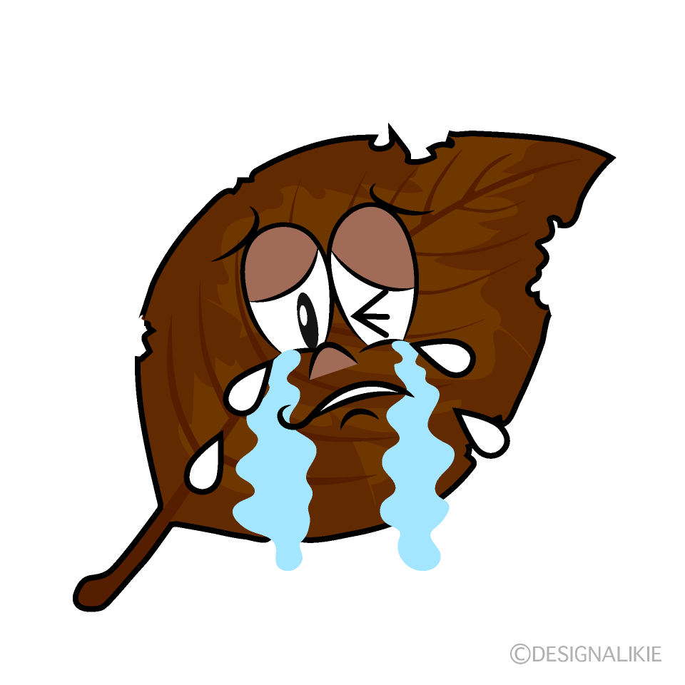 Crying Dead Leaf Cartoon Character Image