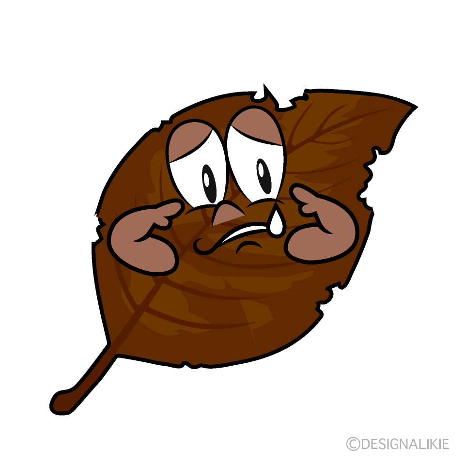 Sad Dead Leaf Cartoon Character Image