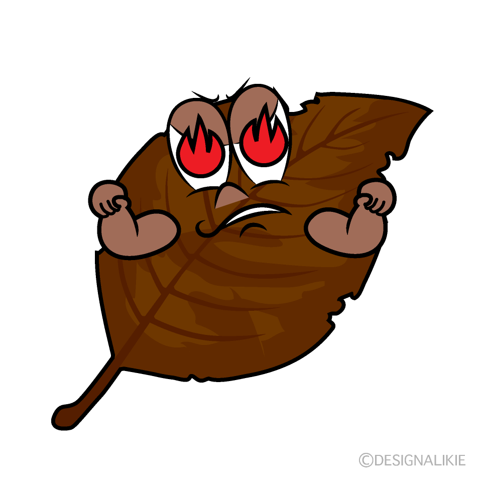 Enthusiasm Dead Leaf Cartoon Character Image