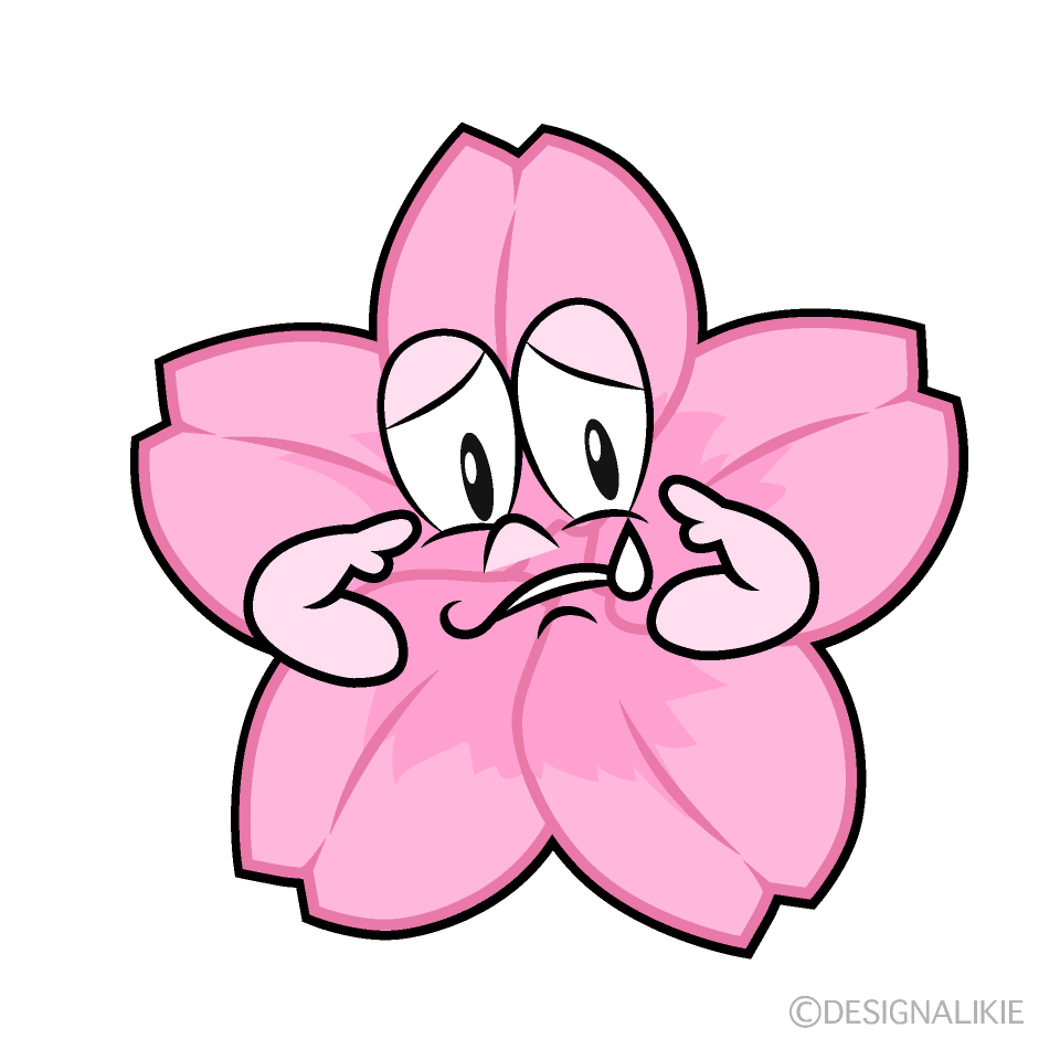 Sad Cherry Blossom Cartoon Character Image