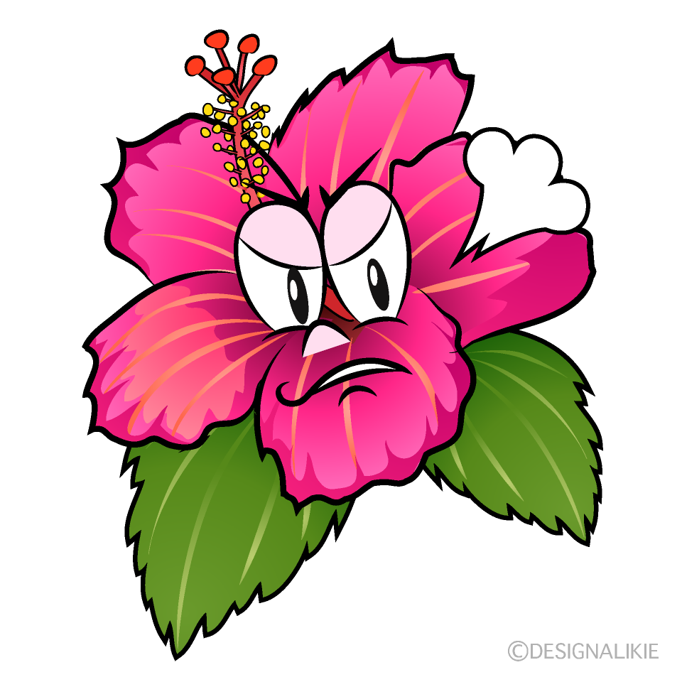 Angry Hibiscus Cartoon Character Image