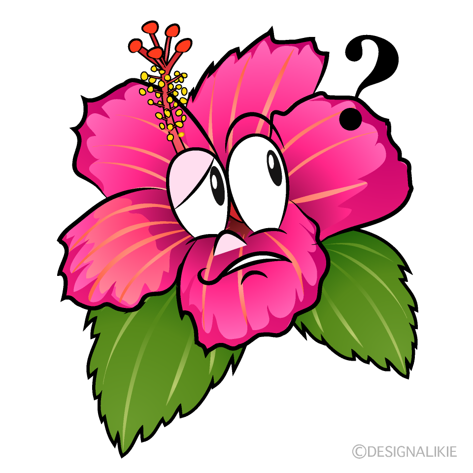 Thinking Hibiscus Cartoon Character Image