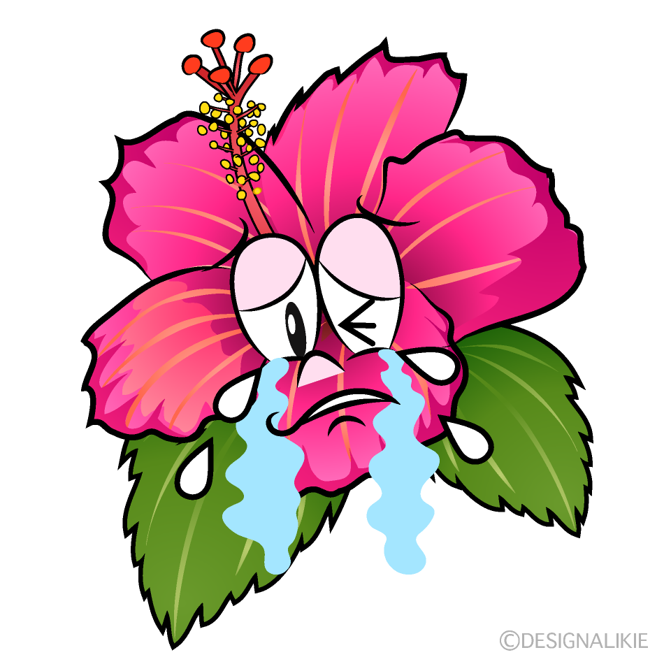 Crying Hibiscus Cartoon Character Image