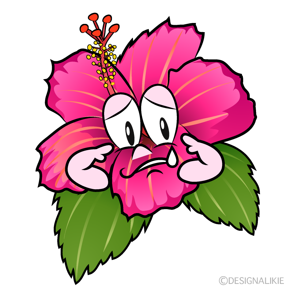 Sad Hibiscus Cartoon Character Image