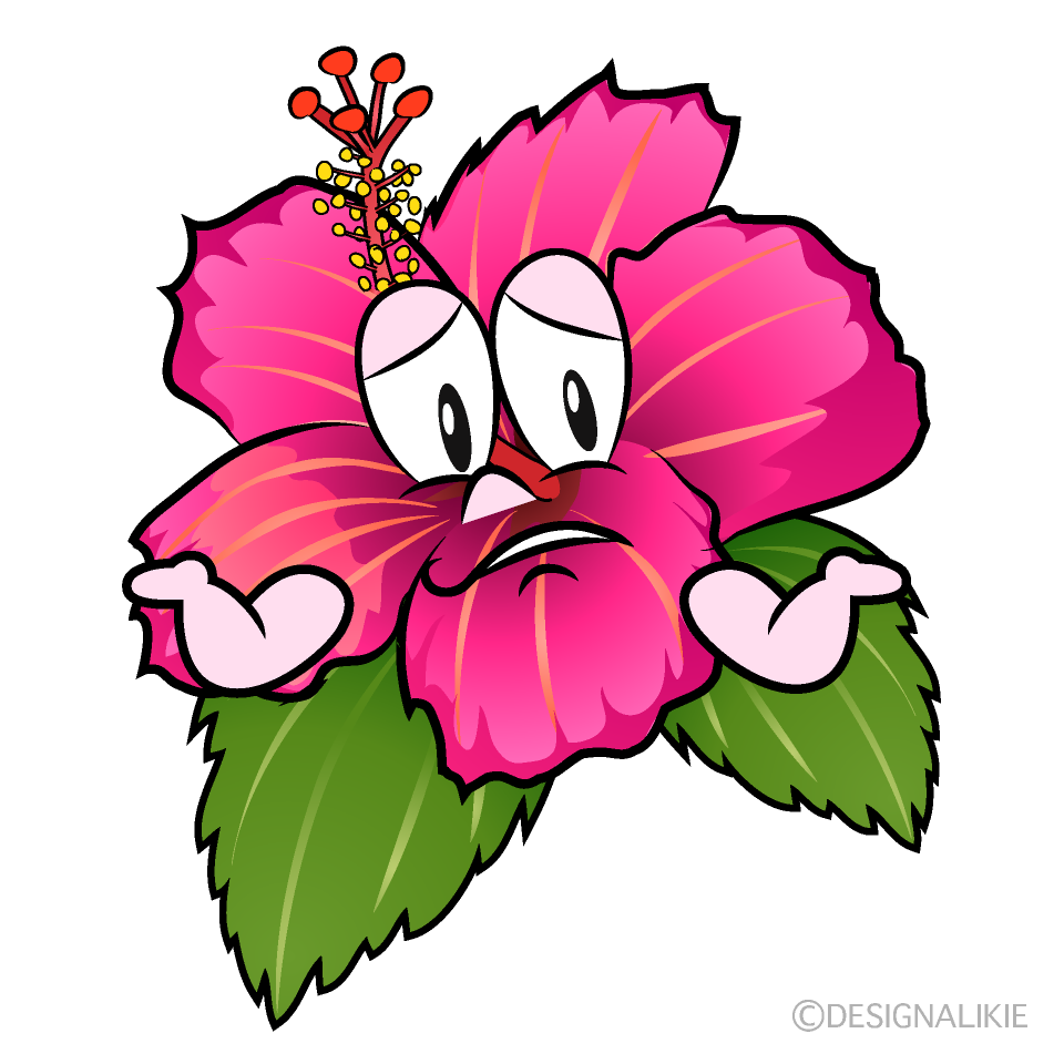 Troubled Hibiscus Cartoon Character Image