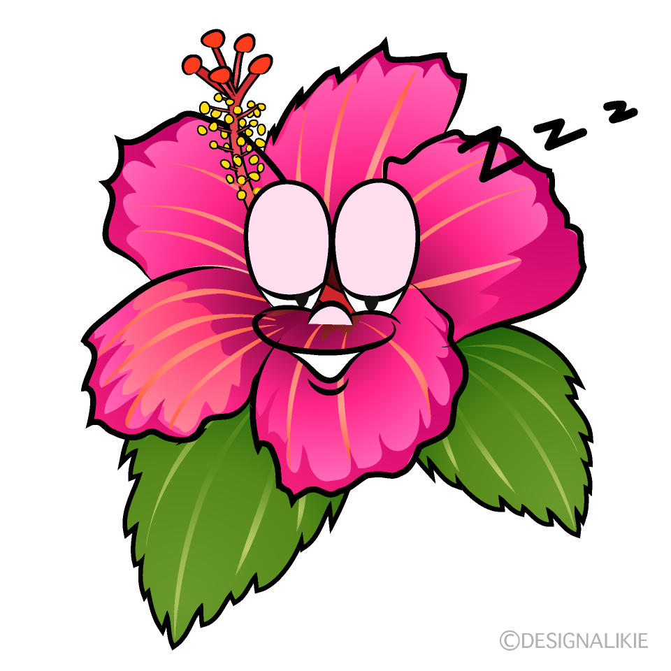 Hibisco Durmiendo