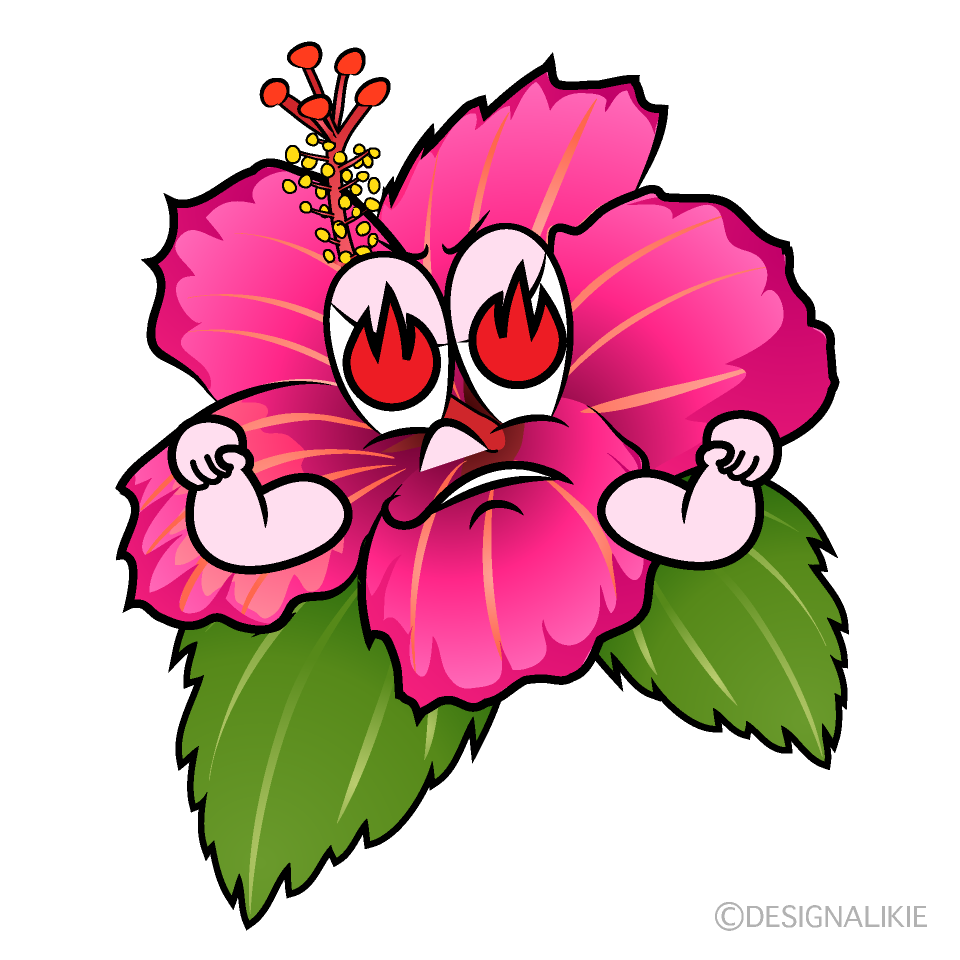 Enthusiasm Hibiscus Cartoon Character Image