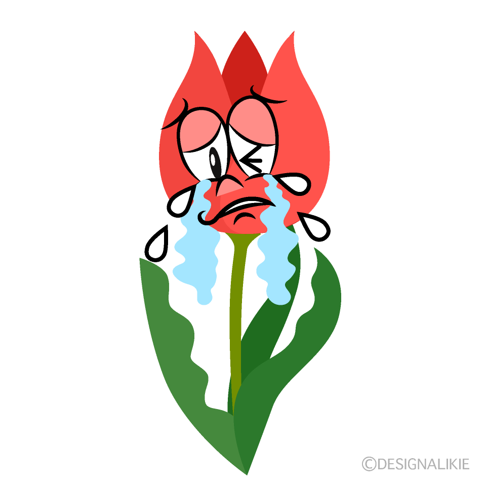 Crying Tulip Cartoon Character Image