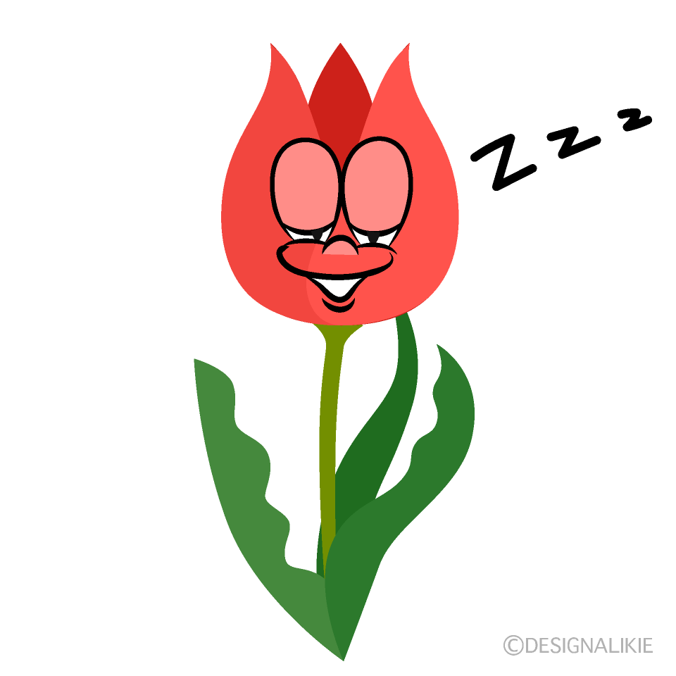 Sleeping Tulip Cartoon Character Image