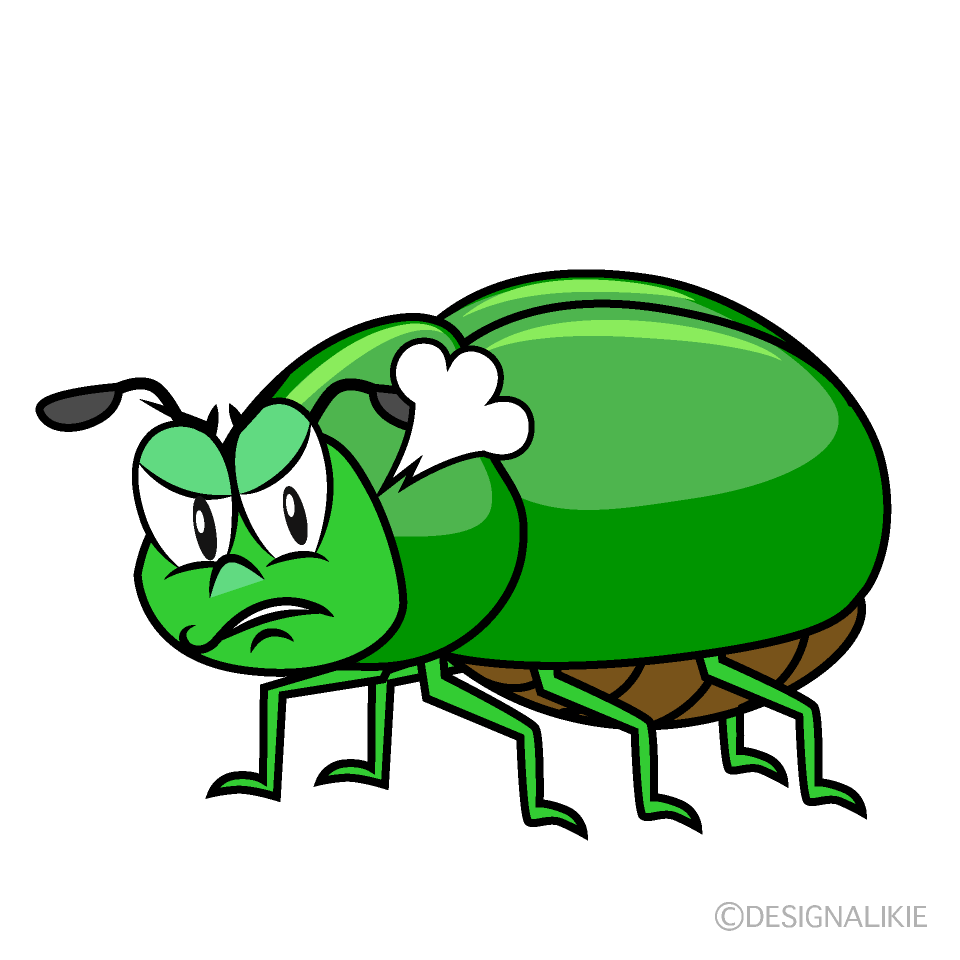 Angry Beetle Cartoon Character Image