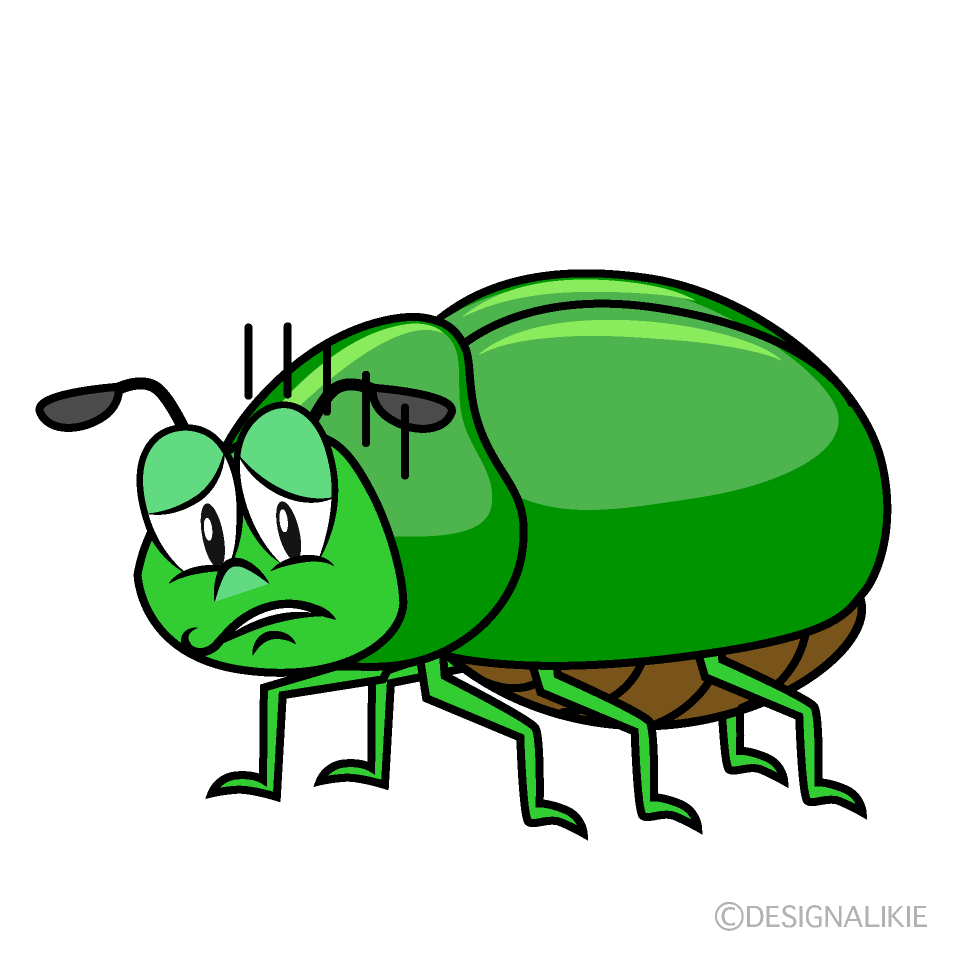 Depressed Beetle Cartoon Character Image