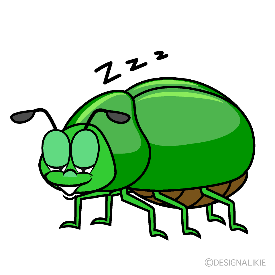 Sleeping Beetle Cartoon Character Image