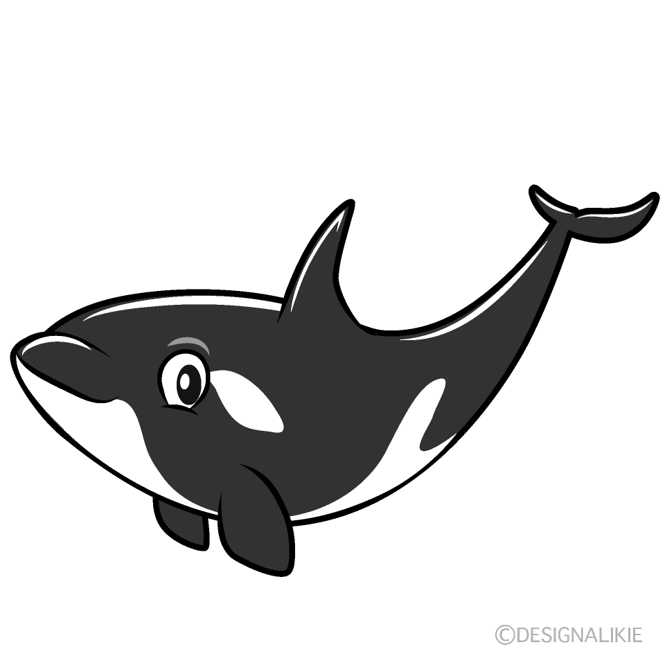 Orca Cartoon Character Image