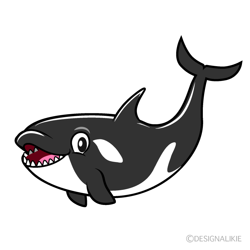 Smiling Orca Cartoon Character Image