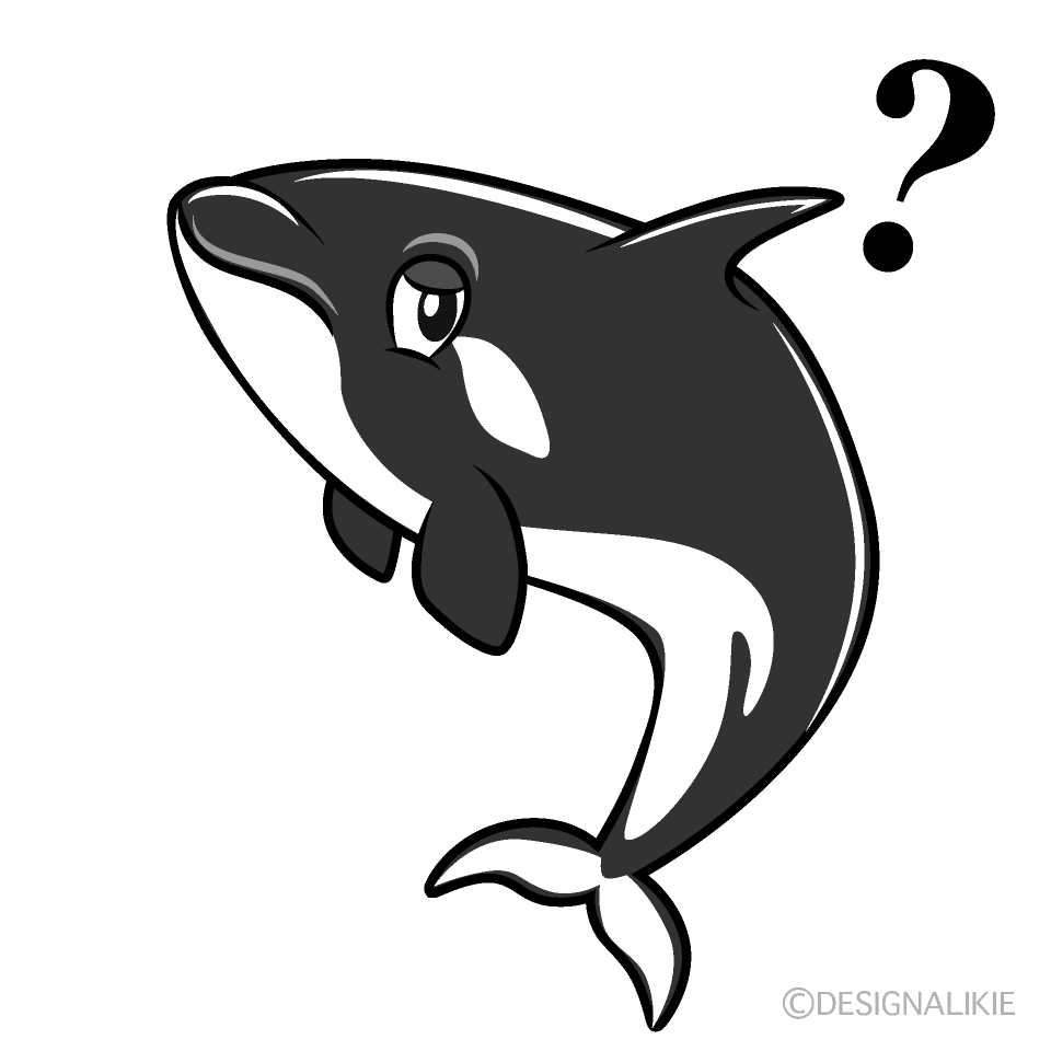 Thinking Orca Cartoon Character Image