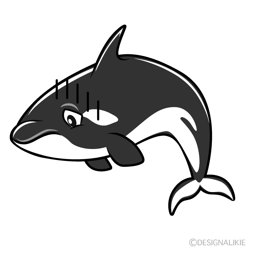 Depressed Orca Cartoon Character Image