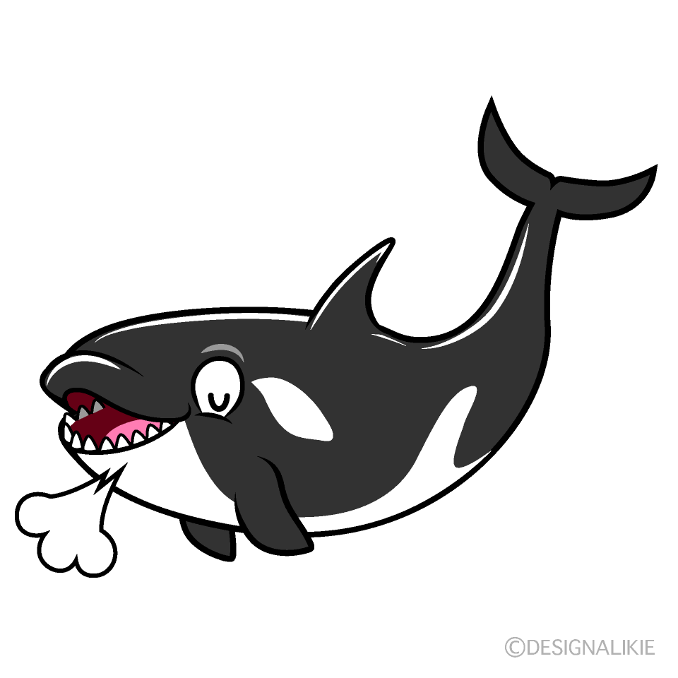 Relaxing Orca Cartoon Character Image