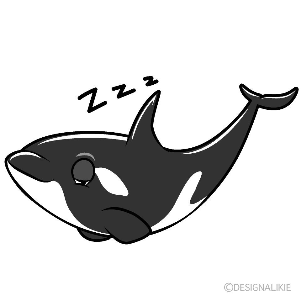 Sleeping Orca Cartoon Character Image