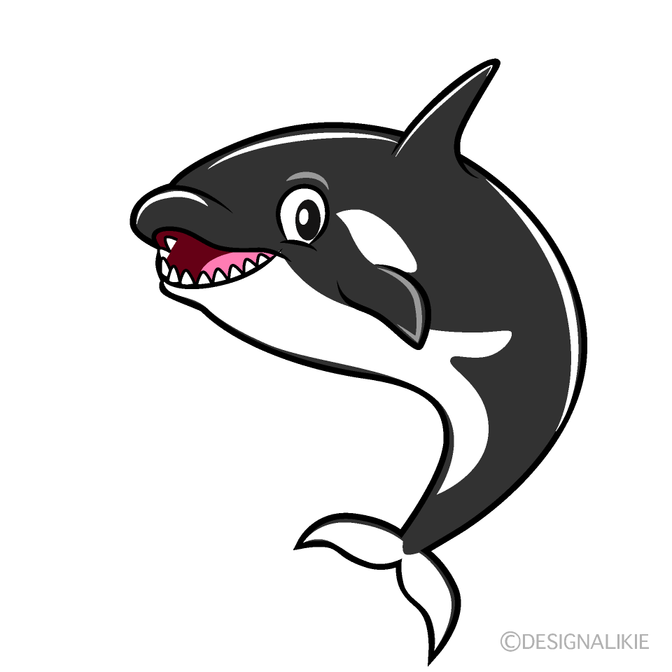 Speaking Orca Cartoon Character Image