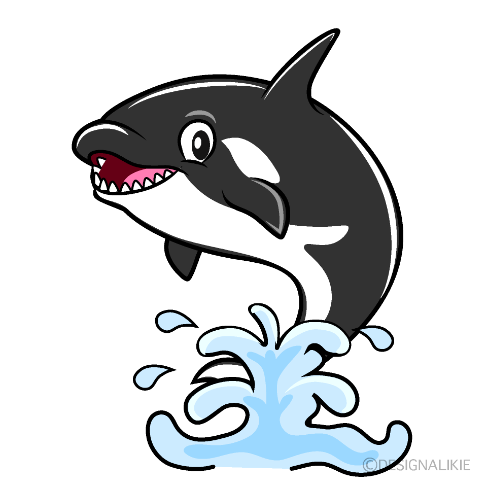 Cool Orca Cartoon Character Image