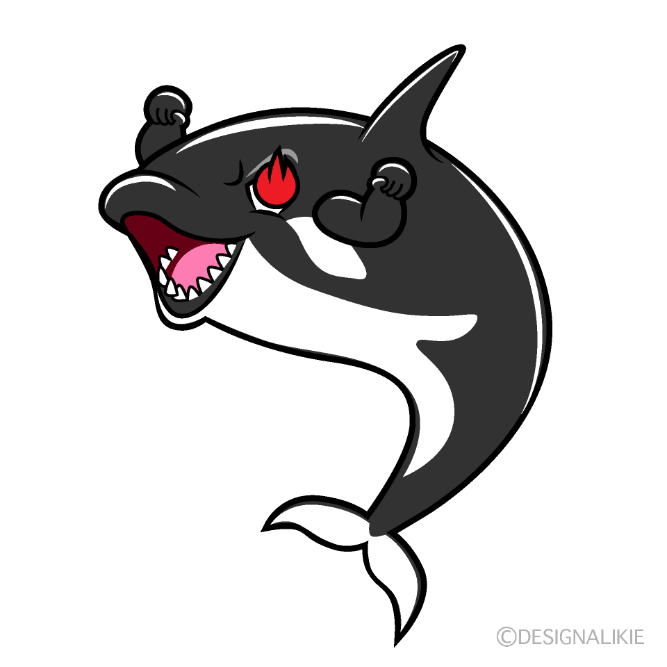 Enthusiasm Orca Cartoon Character Image