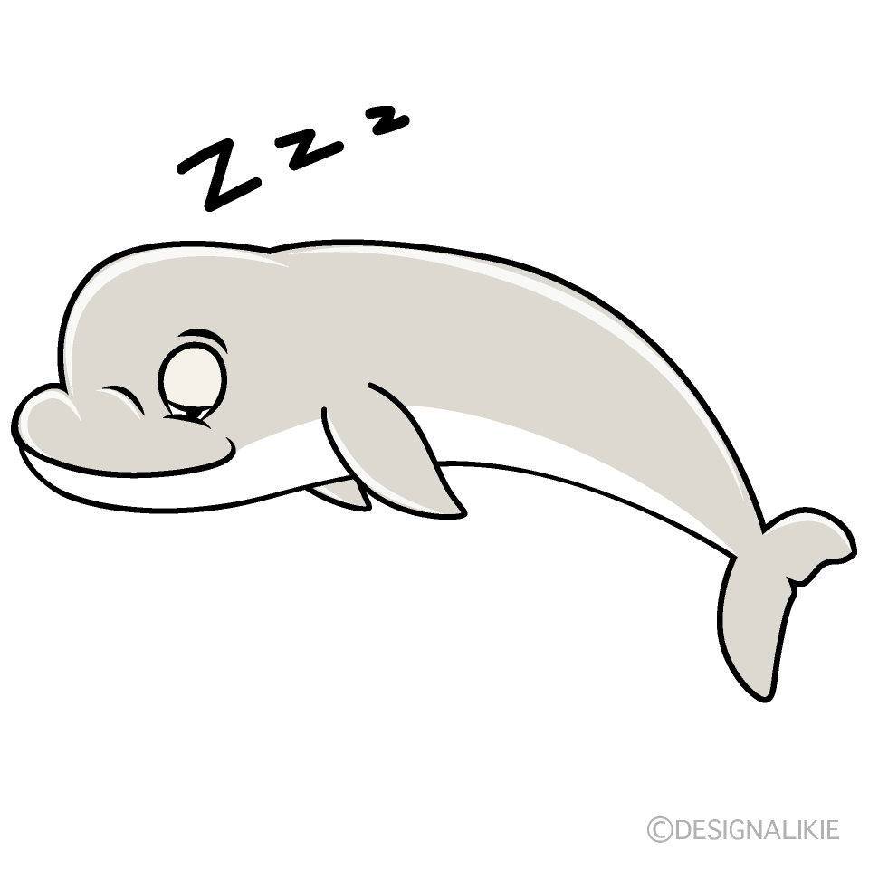 Sleeping Beluga Whale Cartoon Character Image