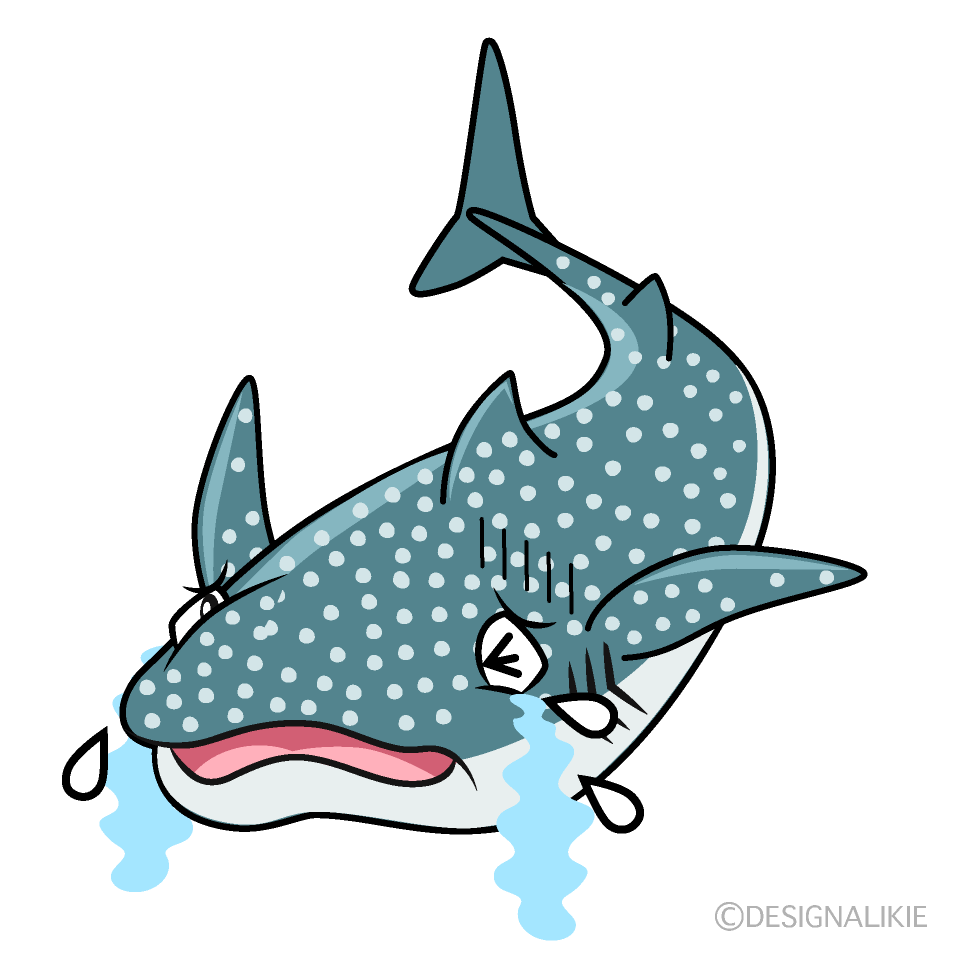 Crying Whale Shark Cartoon Character Image