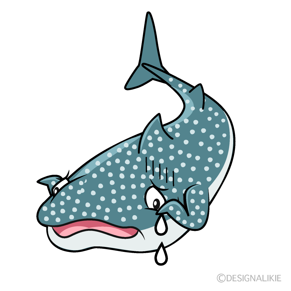 Sad Whale Shark Cartoon Character Image