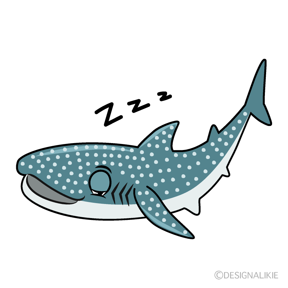 Sleeping Whale Shark Cartoon Character Image