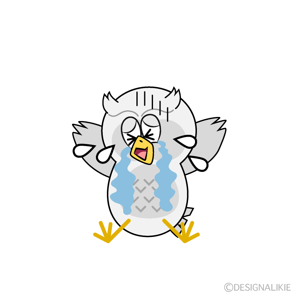 Crying White Owl Cartoon Character Image