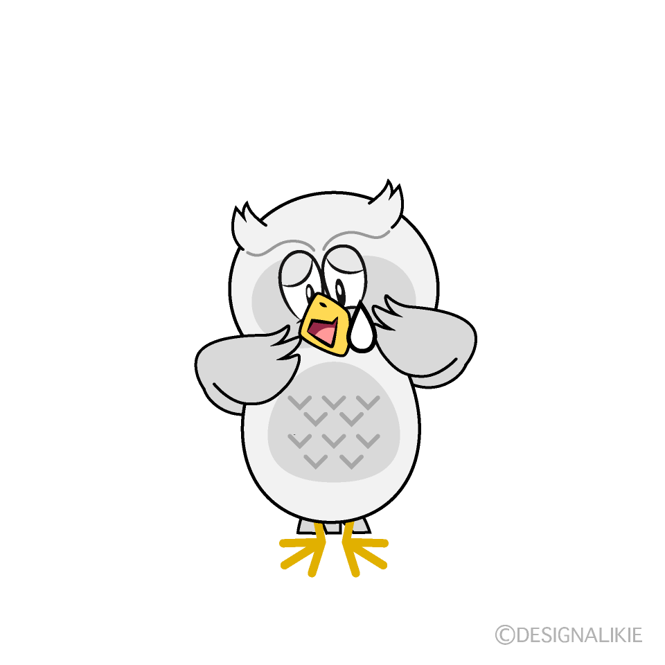 Sad White Owl Cartoon Character Image