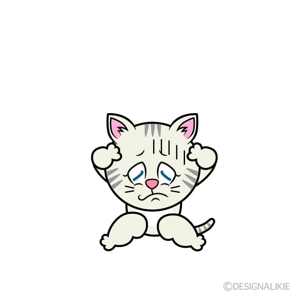 Gato Blanco Deprimido
