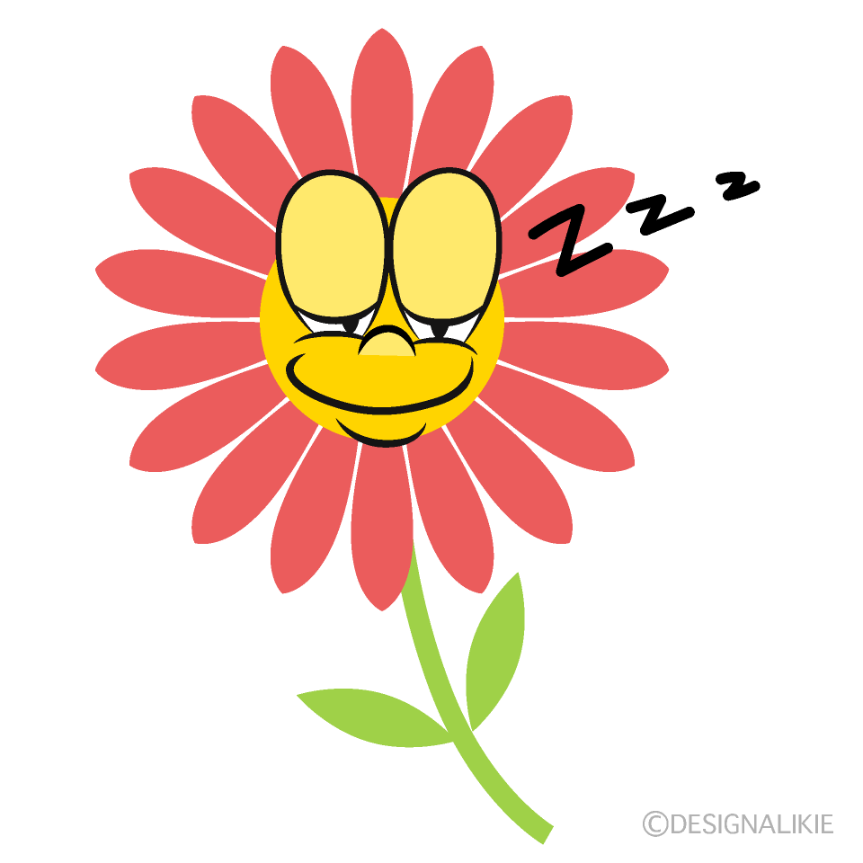 Sleeping Flower