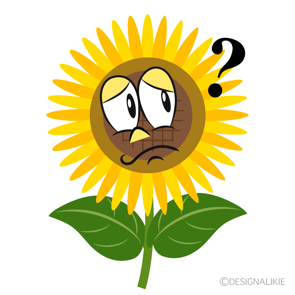 Thinking Sunflower