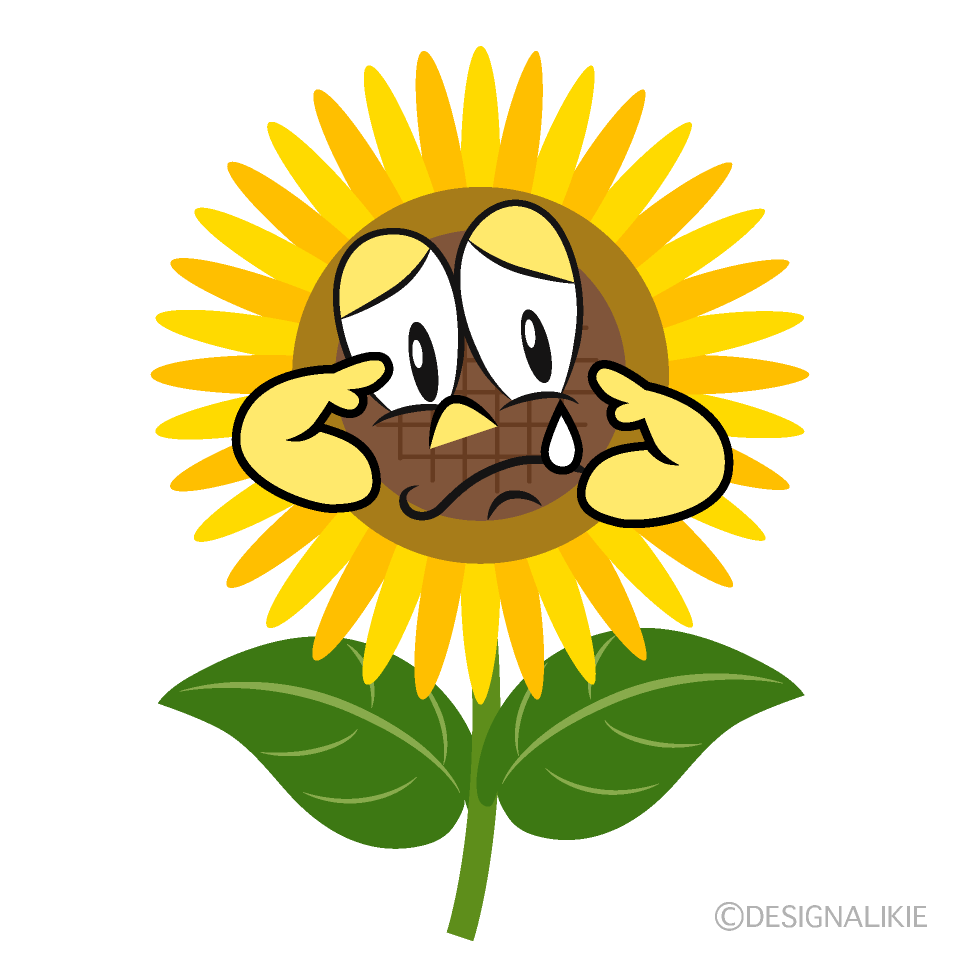 Sobbing Sunflower