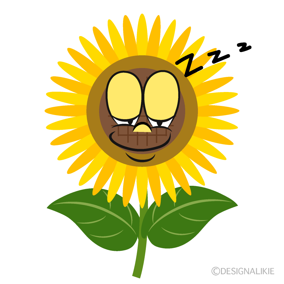 Sleeping Sunflower