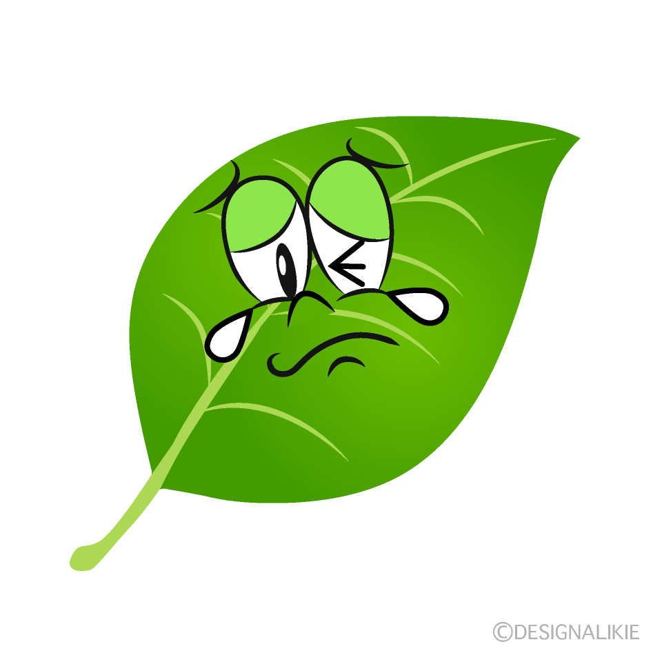 Crying Leaf