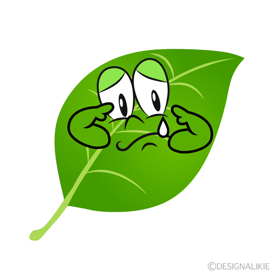 Sobbing Leaf