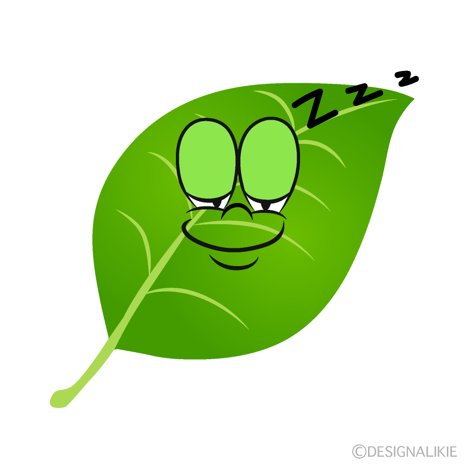 Sleeping Leaf