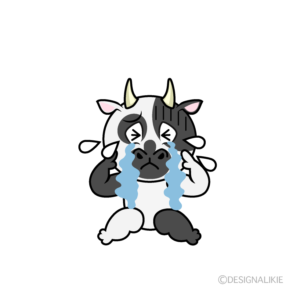Vaca Llorando