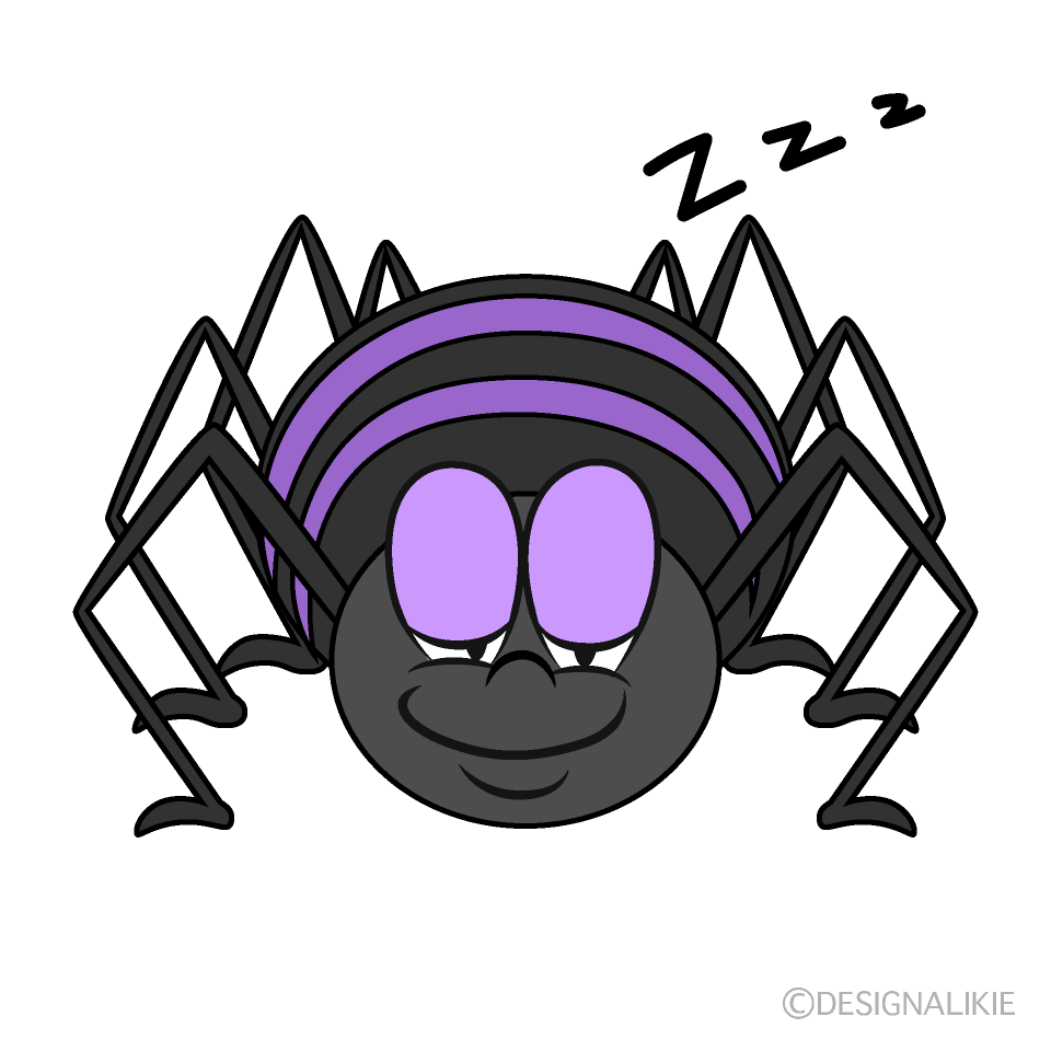 Sleeping Spider